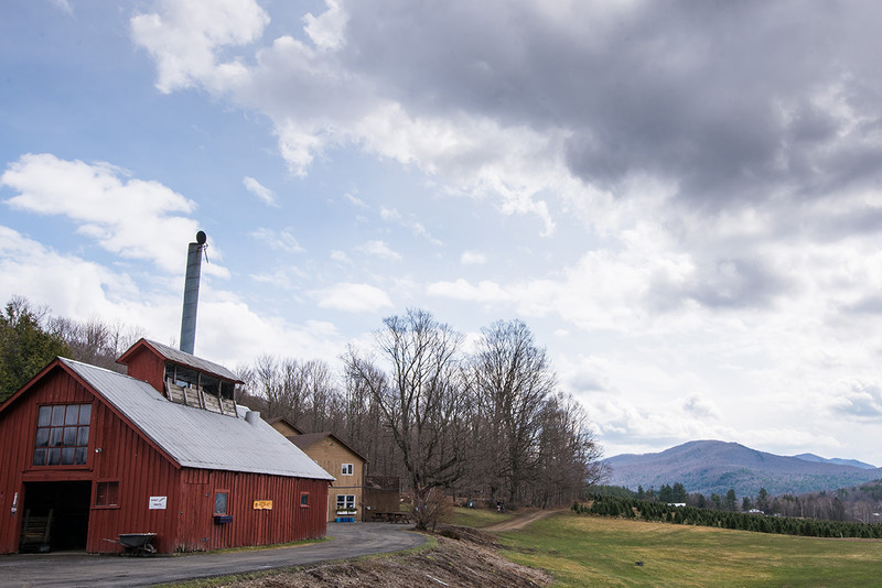 Maple Season Going Strong Vermont Maple Sugar Makers