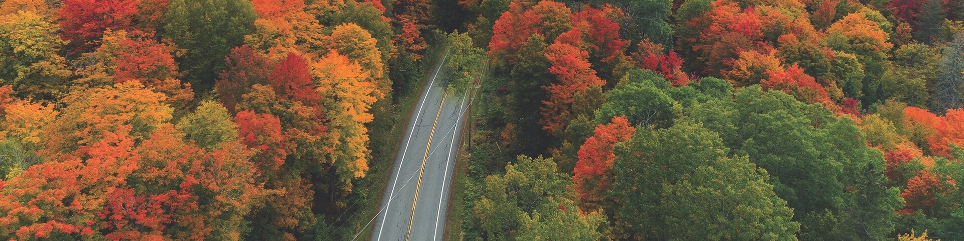 meandering road through Vermont fall foliage