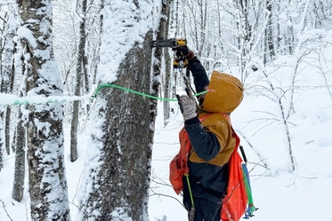 Branon Family in Fairfield Shares Tapping Strategies