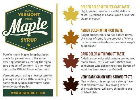 what type of maple tree makes syrup