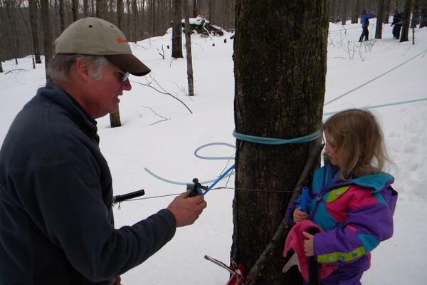 Man and child collecting sap from a tree in a snowy forest.