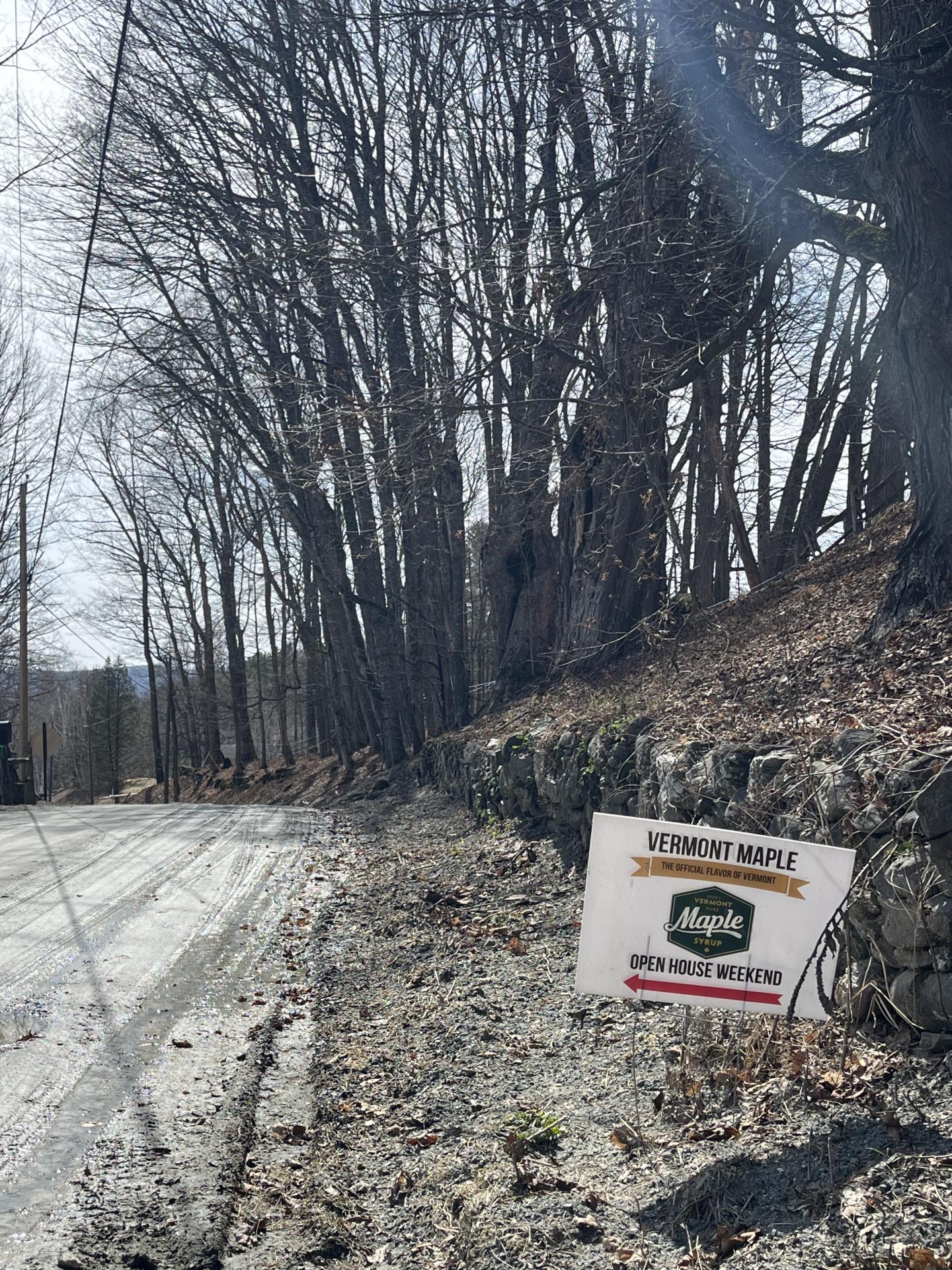 Celebrating the 2025 Maple Open House Weekend