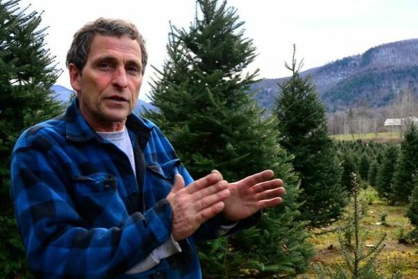 Man in a blue plaid shirt gestures in a field of evergreen trees.