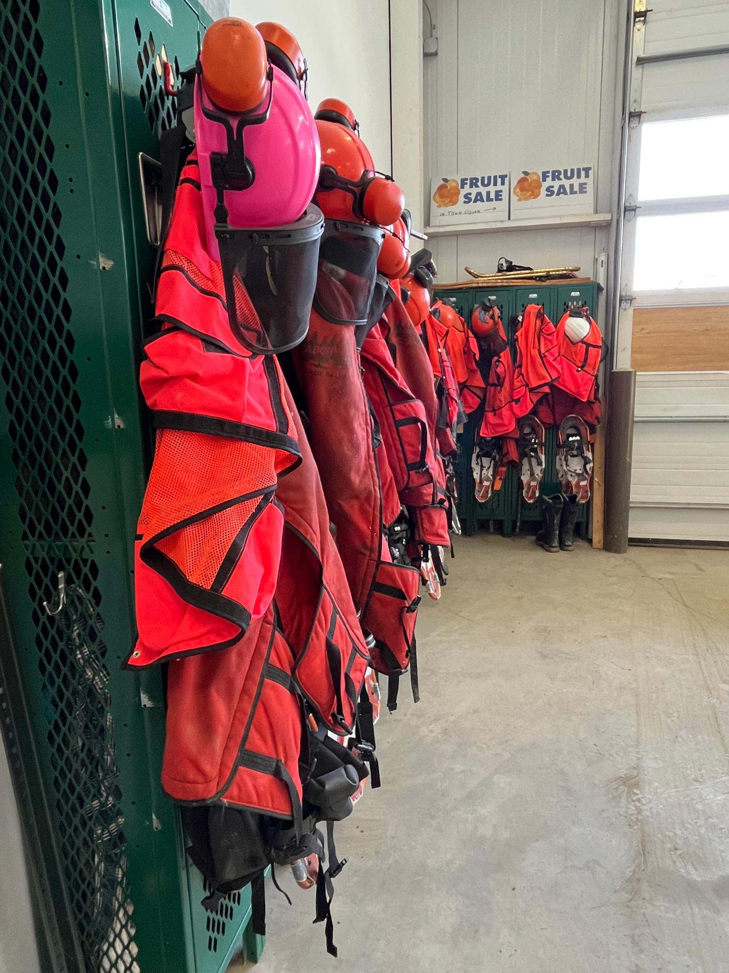 Red life jackets hanging in a row on green lockers.