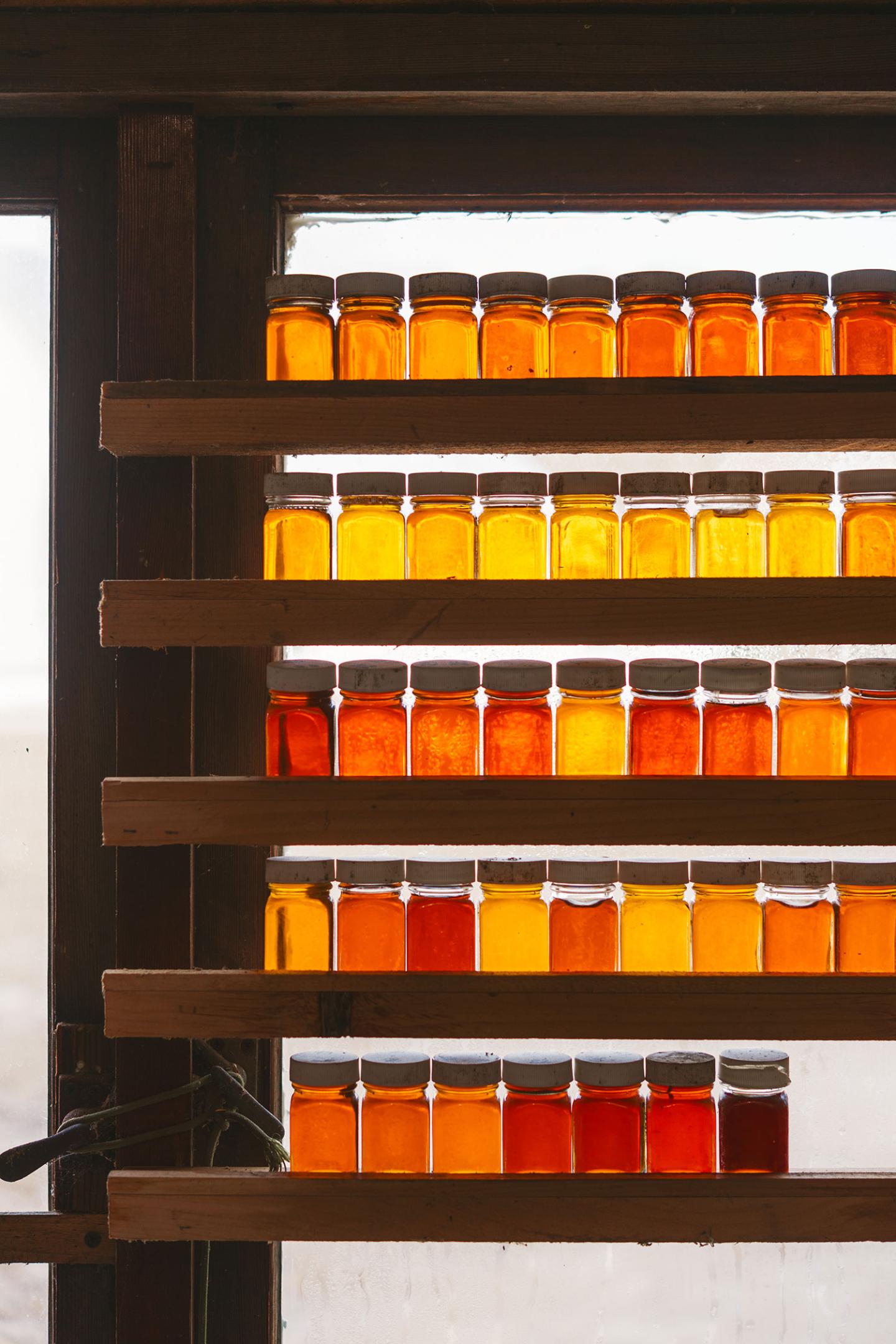 Jars of honey in various shades on wooden shelves.