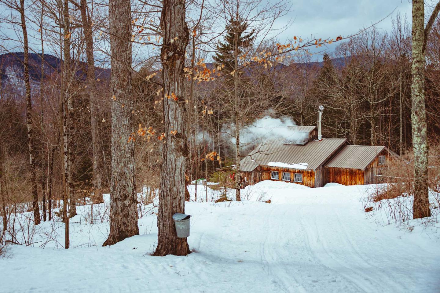 Snow-covered cabin in forest with smoke from chimney, bare trees around, cloudy sky.