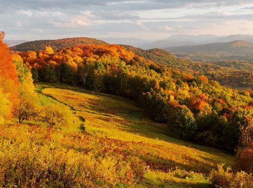 Congratulations to Baird Farm Maple