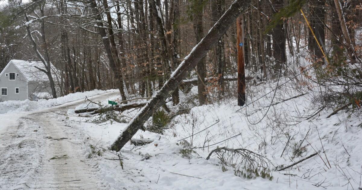 Need Storm Damage Assistance?