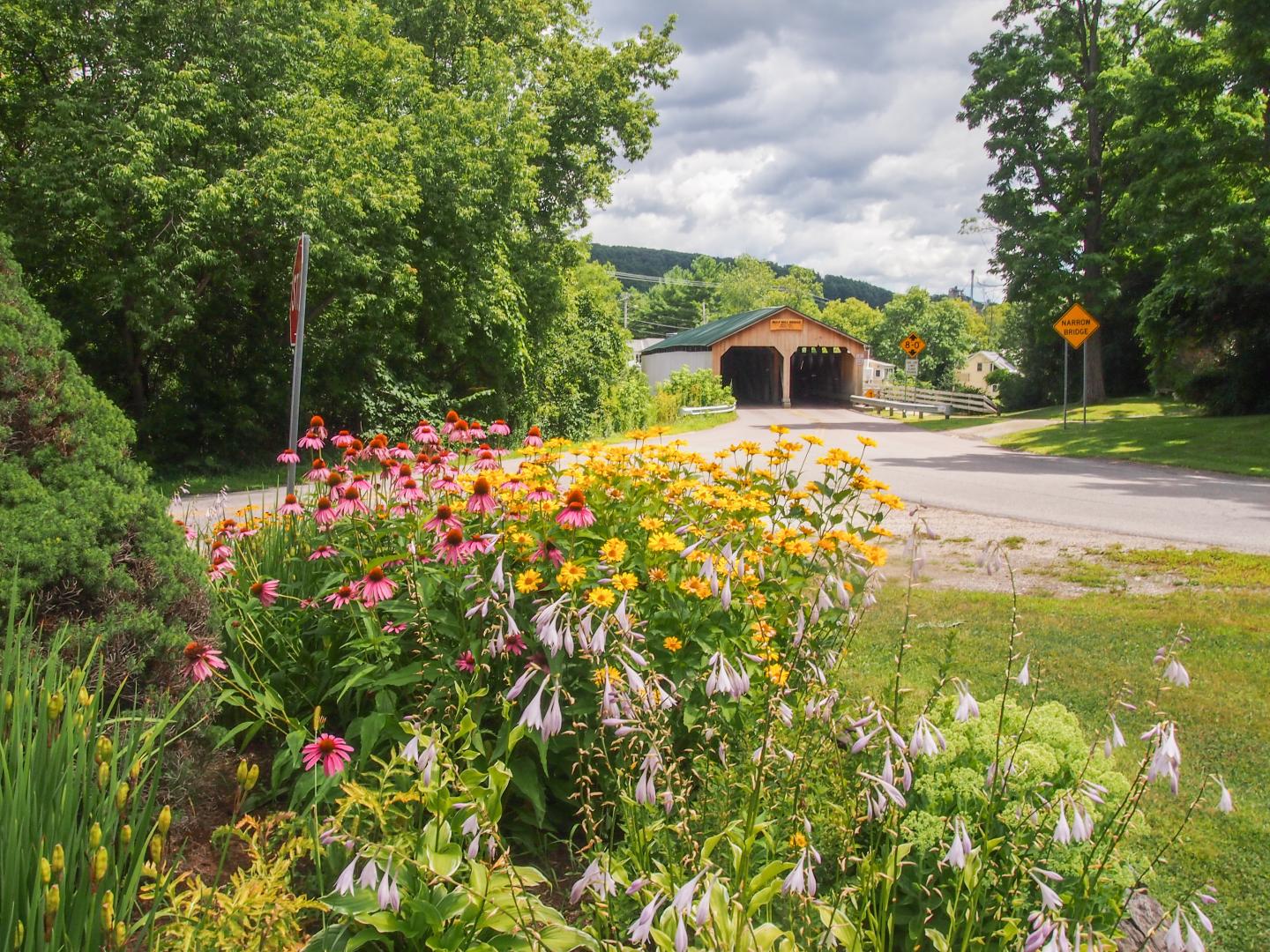 Colorful flowers by a road with a wooden bridge and green trees.