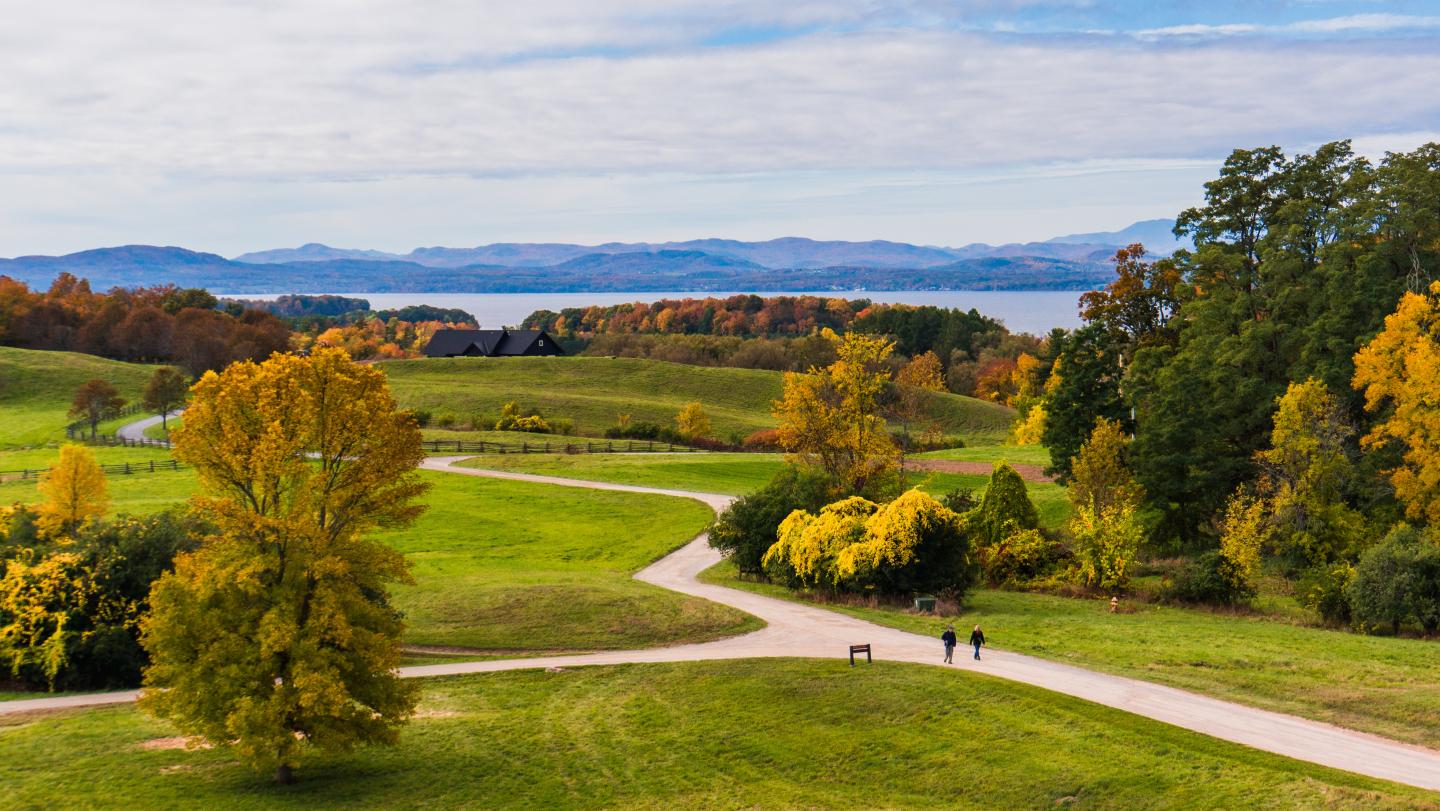 Park with autumn trees, a winding path, and a distant lake under a cloudy sky.