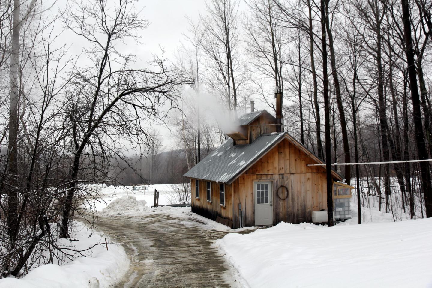 Snowy path leading to a wooden cabin with steam rising, surrounded by bare trees.