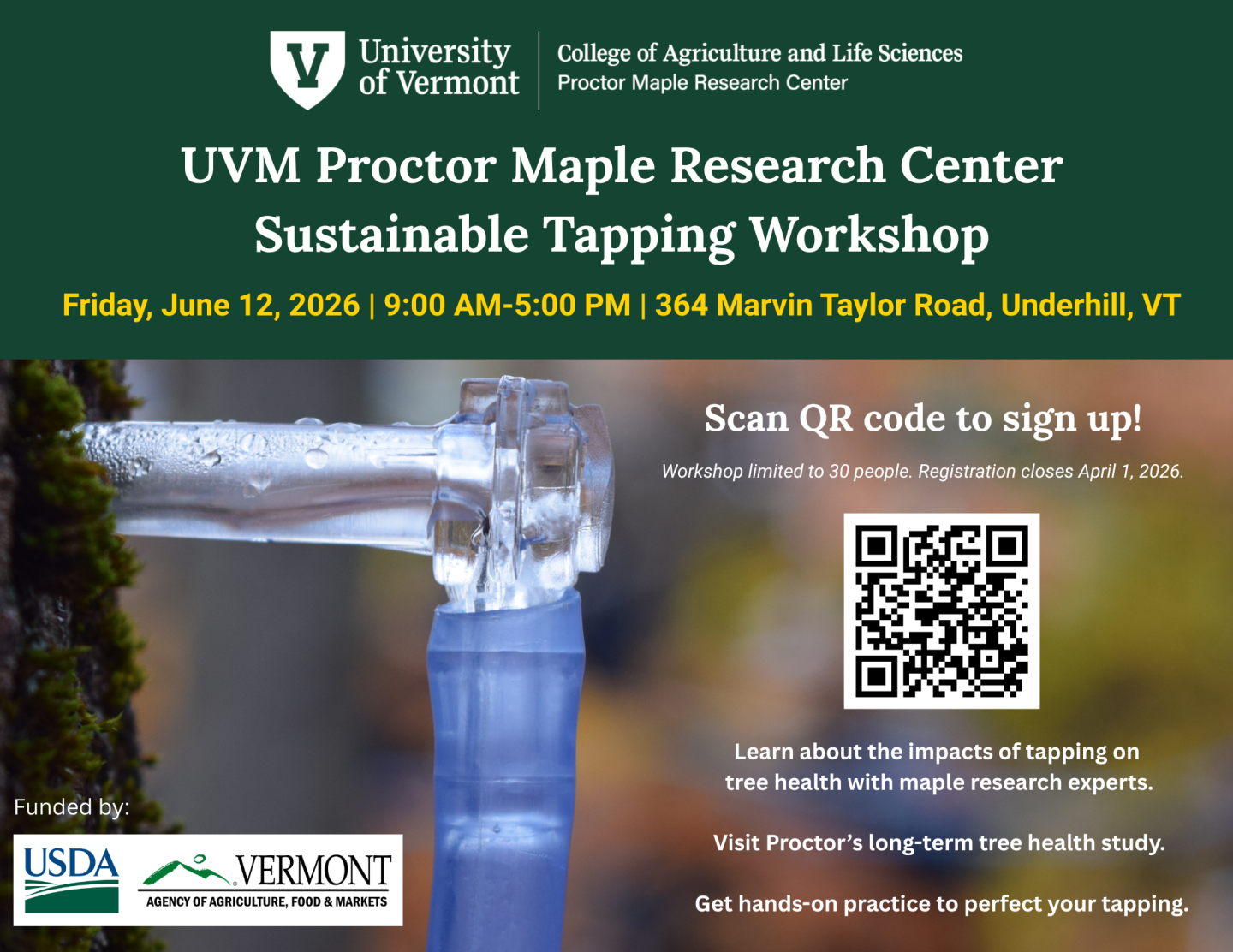 Clear spout tapping tree for maple sap, overlaid text for a workshop event.