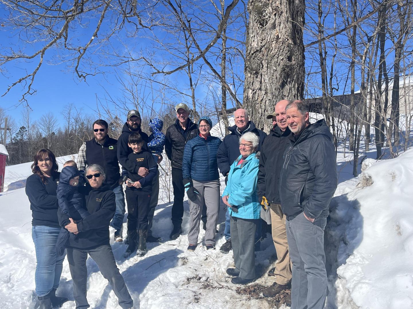 Group of people standing in the snow by a large tree under a clear blue sky.