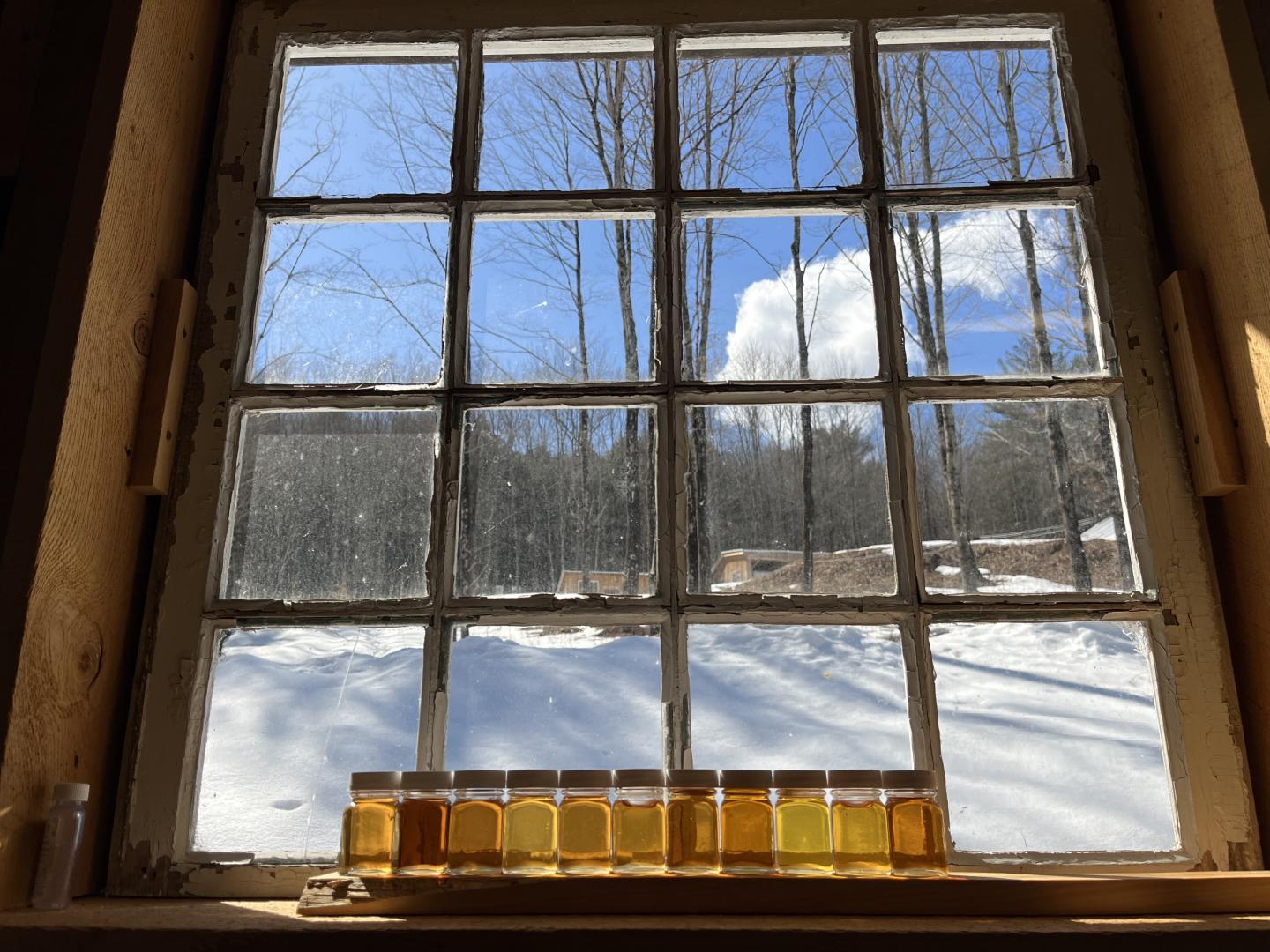 Jars of honey on a window ledge, snowy landscape outside.