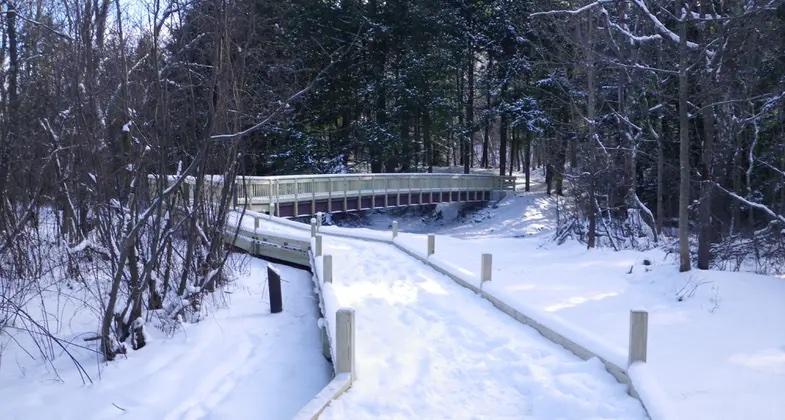 Snow-covered path leading to a wooden bridge in a wintry forest.
