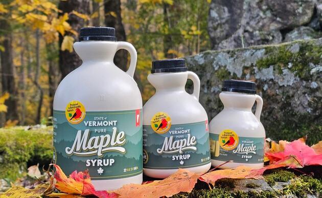Maple syrup jugs on moss-covered rock, autumn leaves around them.