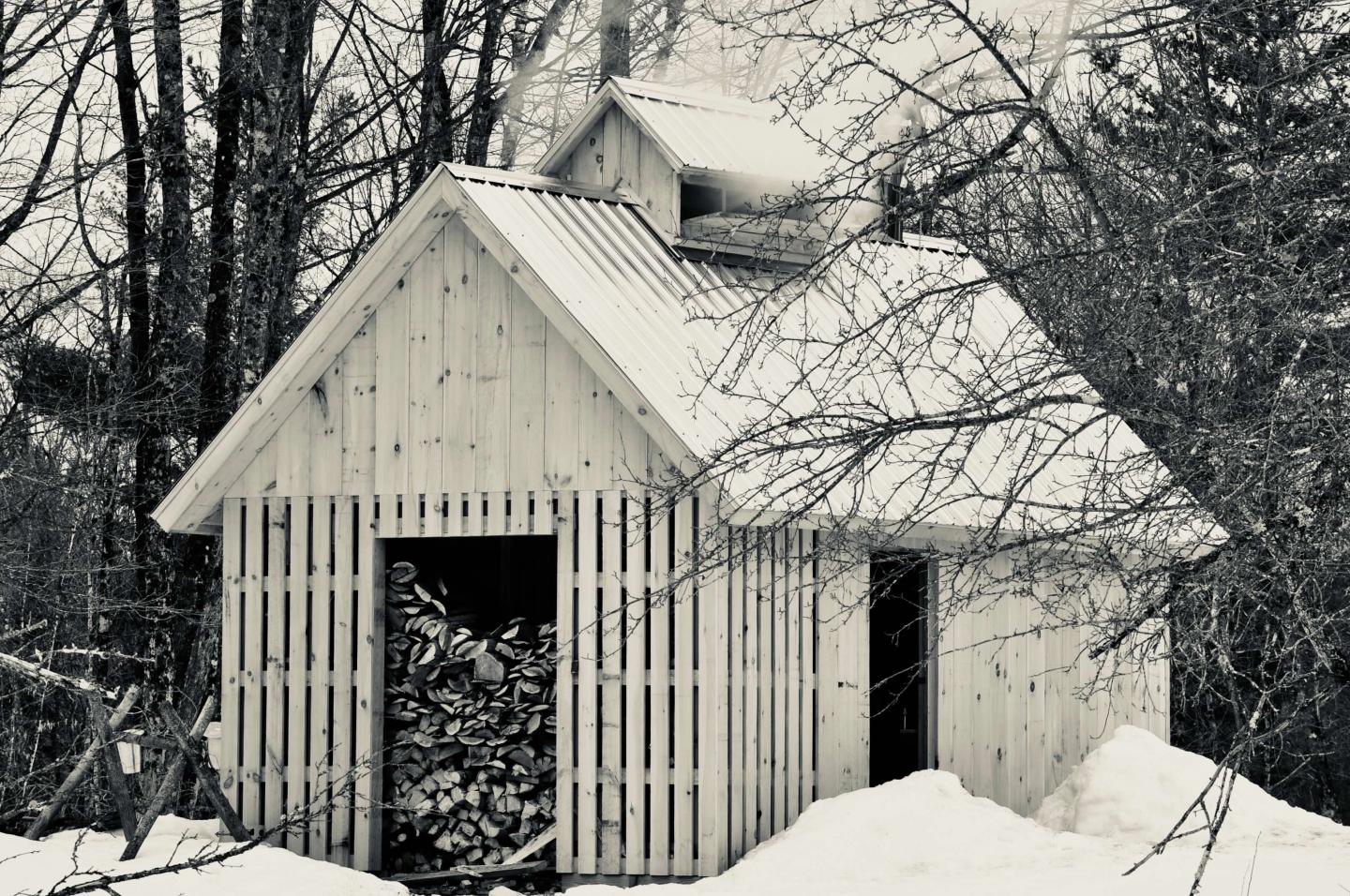 Snow-covered wooden shed in a forest setting.