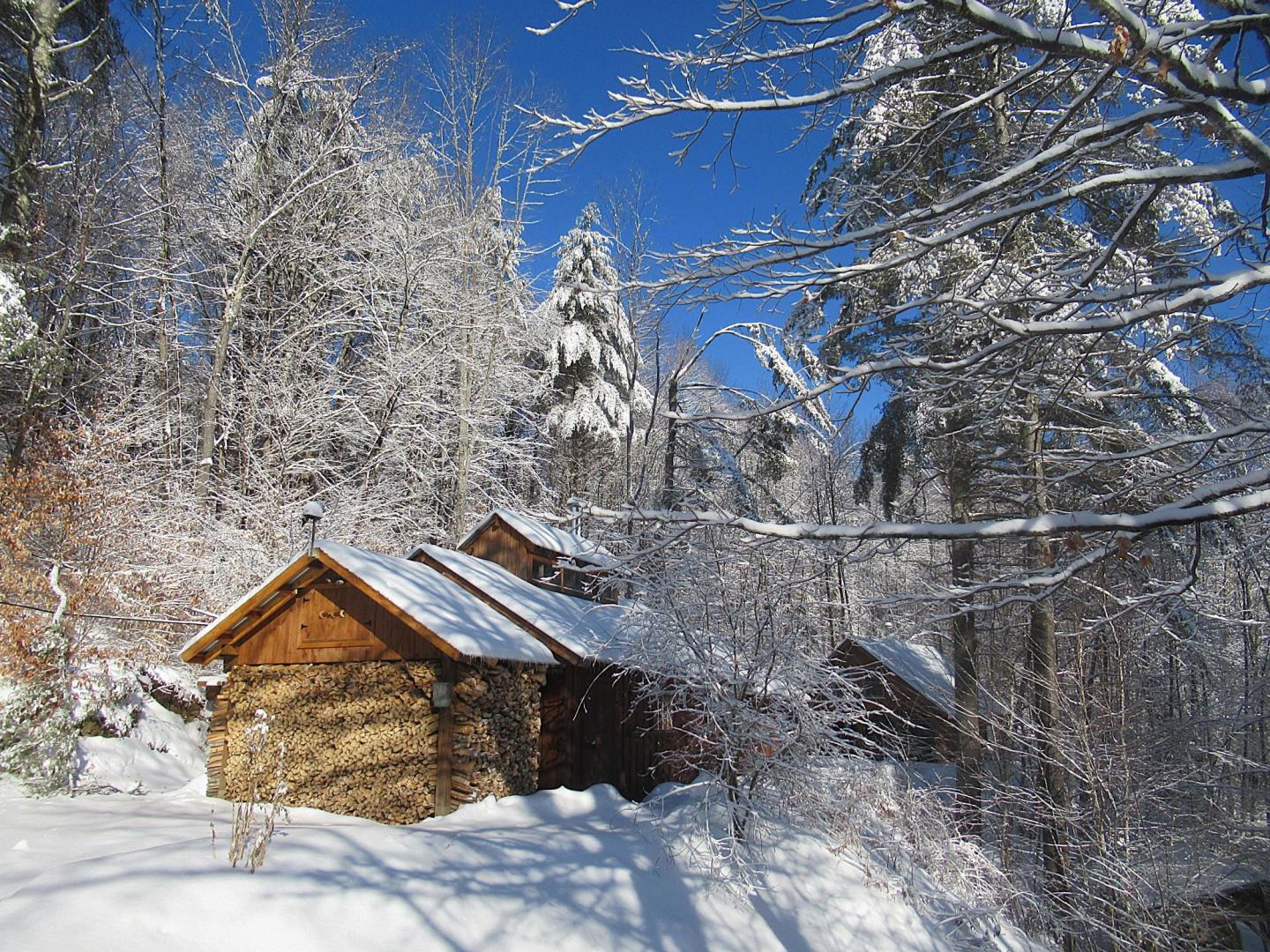 Snow-covered sugarhouse in a forest under a clear blue sky.