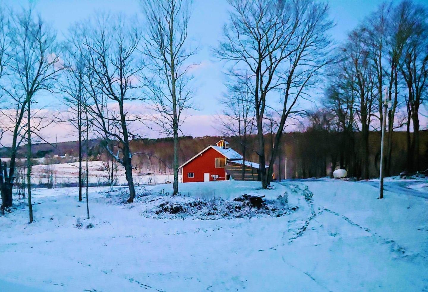 Red house in snowy landscape surrounded by bare trees, under a clear blue sky.