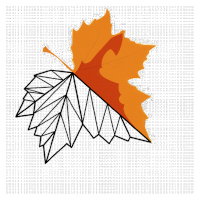 Half colored maple leaf, half outlined on a checkered background.