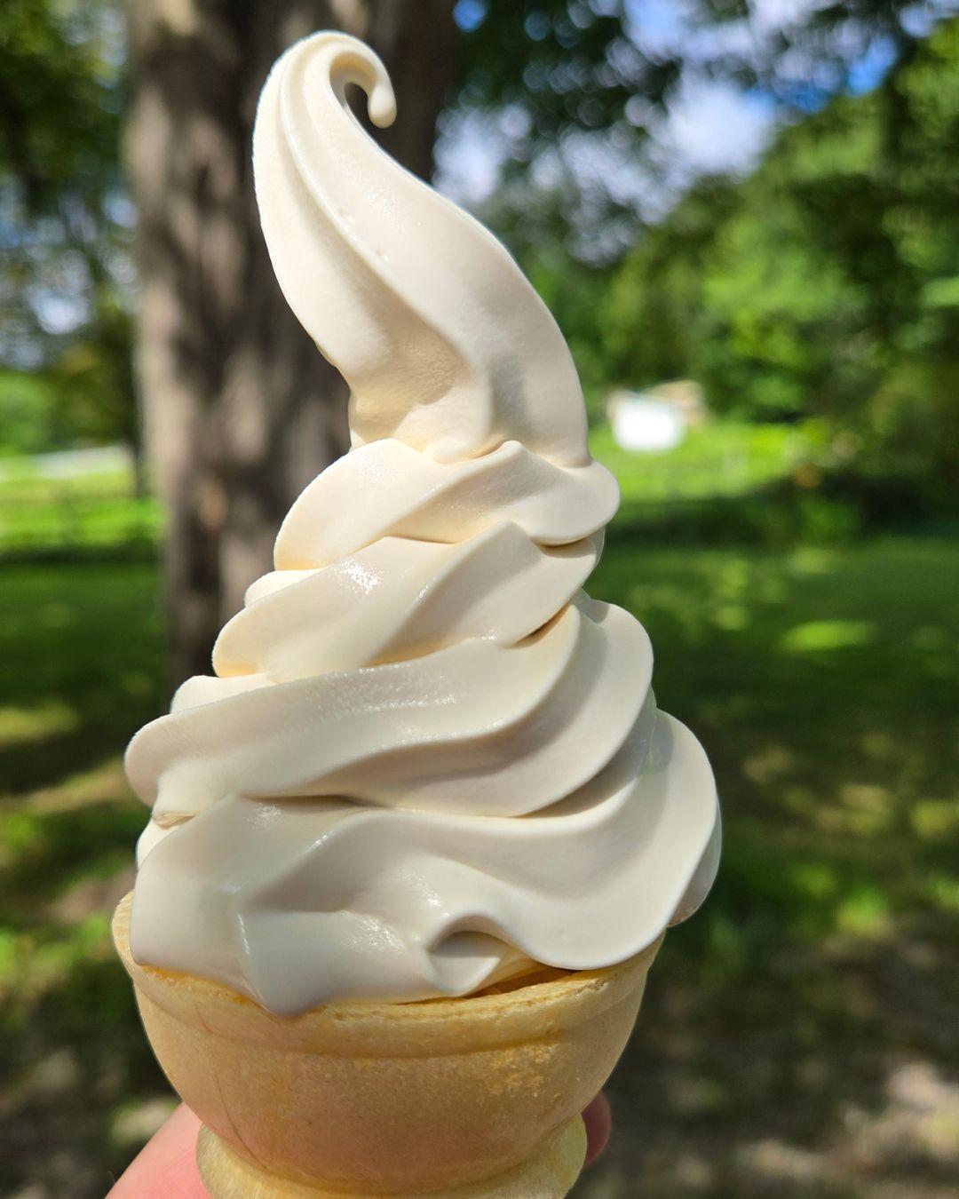 Soft serve ice cream cone held up outdoors with trees in the background.