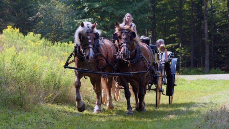 Two horses pulling a carriage through a grassy forest path.